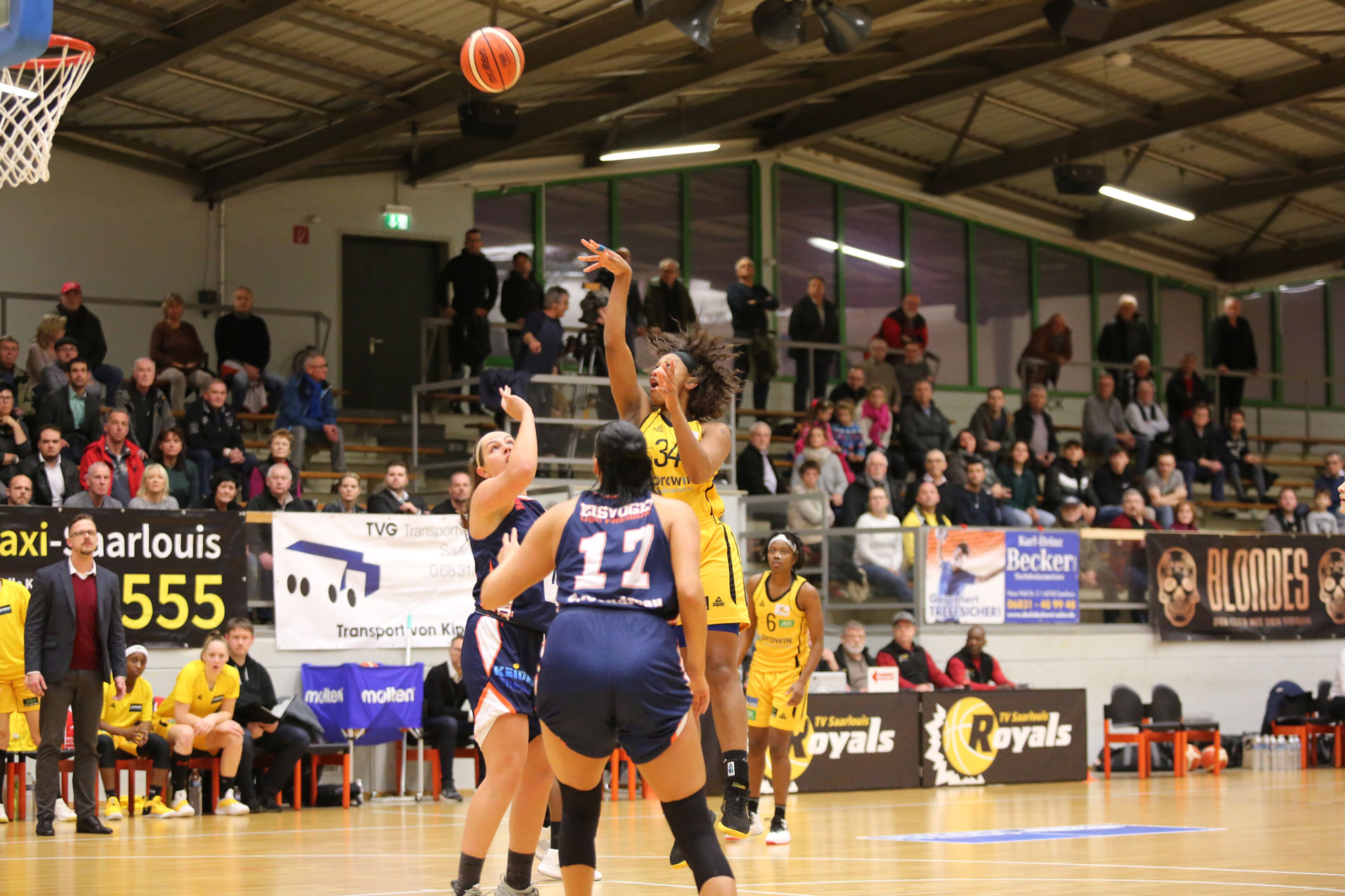 Best of Season 2018/19 Saarlouis Royals