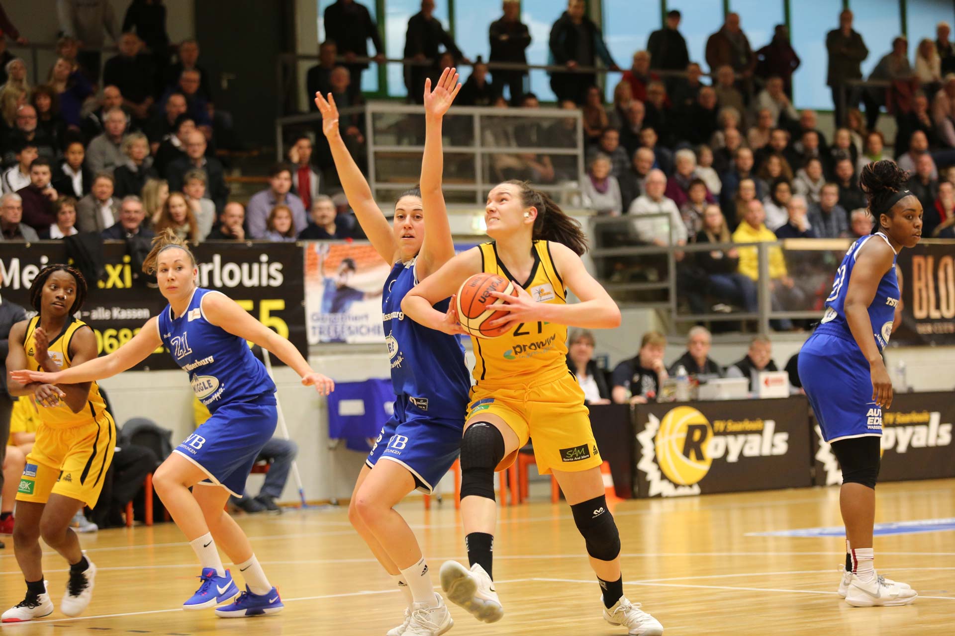 Best of Season 2018/19 Saarlouis Royals