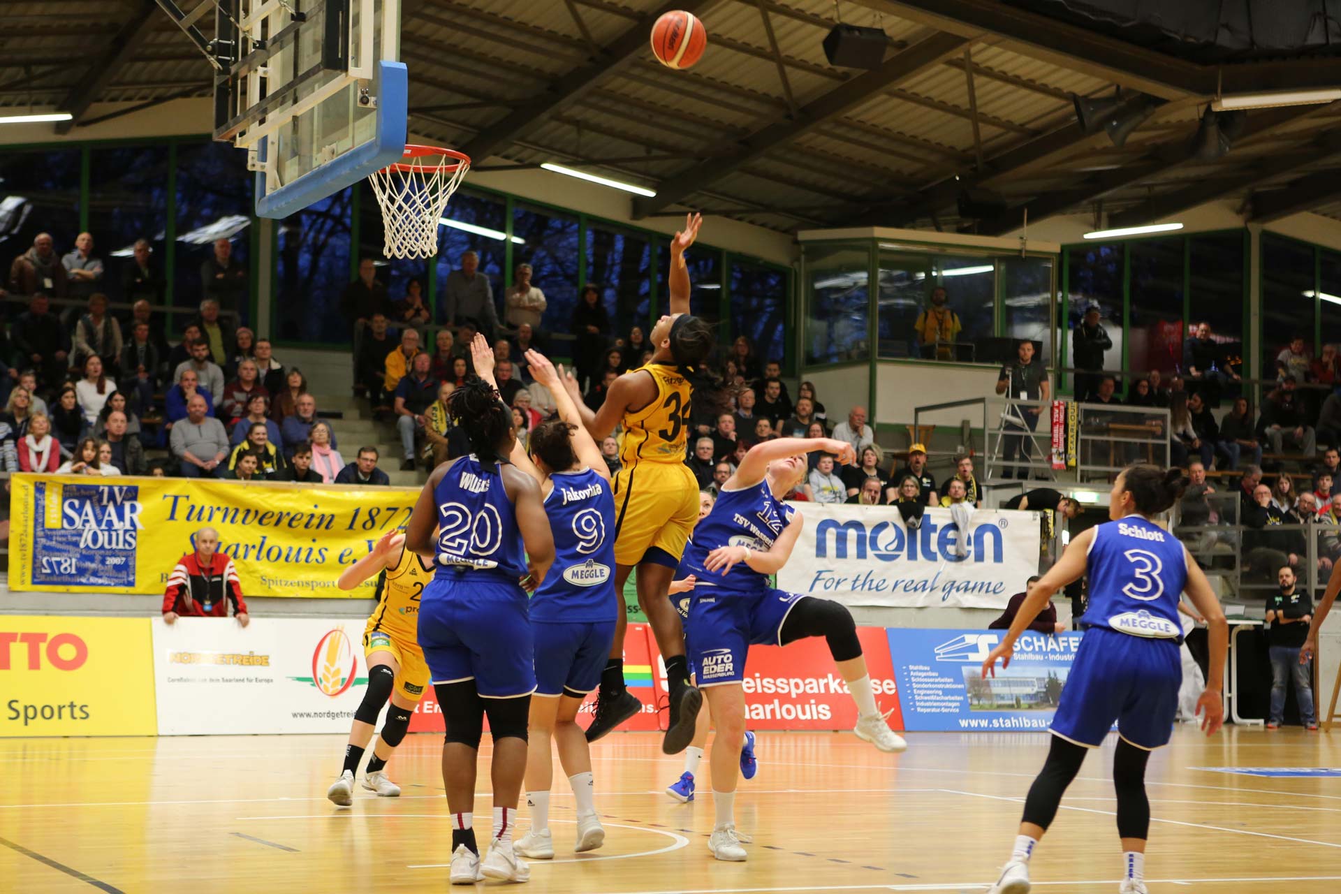 Best of Season 2018/19 Saarlouis Royals