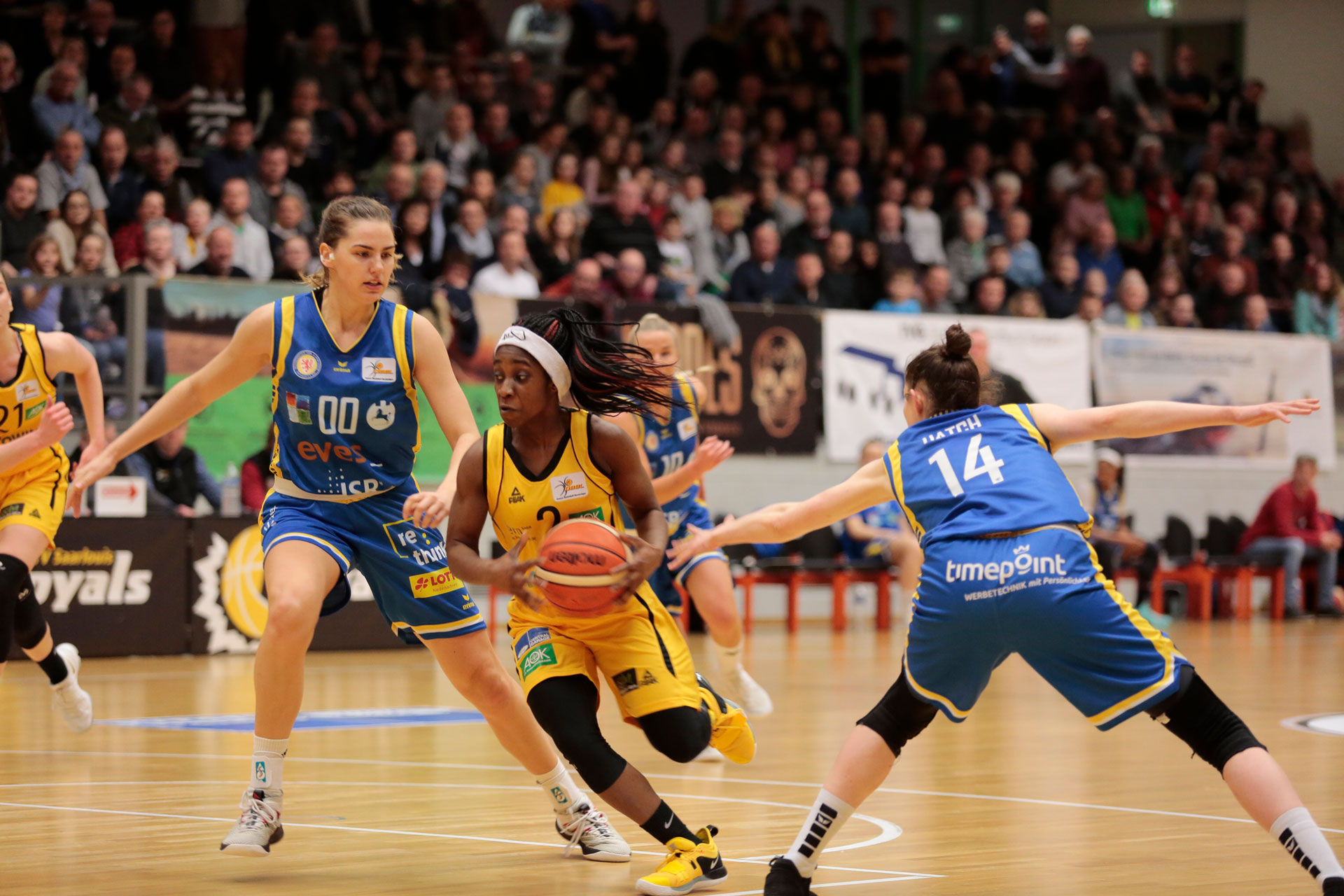 Best of Season 2018/19 Saarlouis Royals