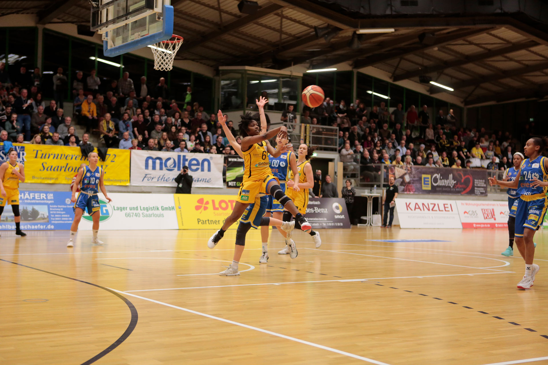 Best of Season 2018/19 Saarlouis Royals