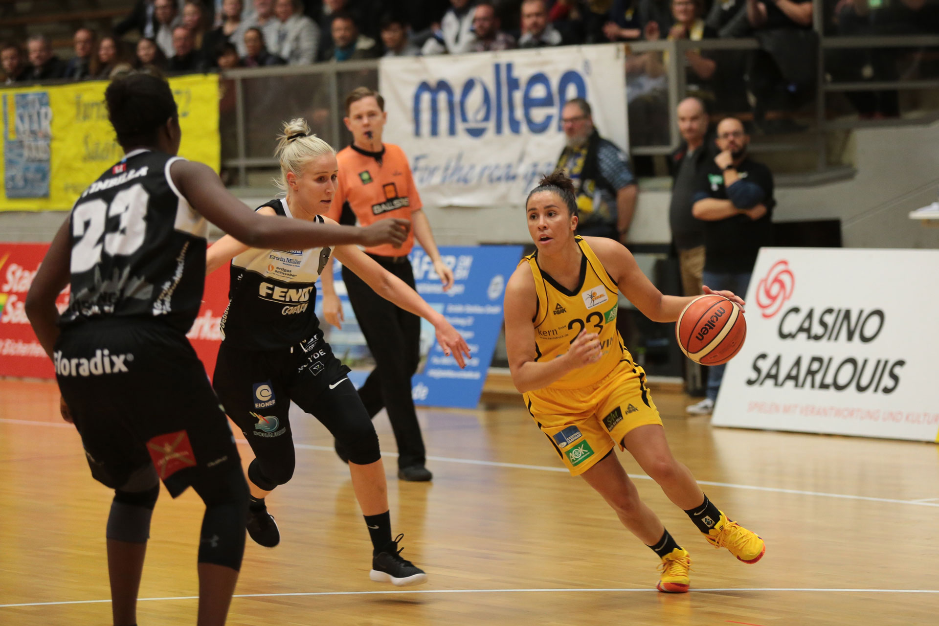 Best of Season 2018/19 Saarlouis Royals